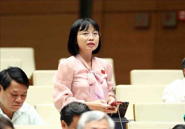 Đại biểu Nguyễn Thị Việt Nga, Đoàn Đại biểu Quốc hội tỉnh Hải Dương chất vấn tại Quốc hội. (Ảnh: TTXVN) Đại biểu Nguyễn Thị Việt Nga, Đoàn Đại biểu Quốc hội tỉnh Hải Dương chất vấn tại Quốc hội. (Ảnh: TTXVN)