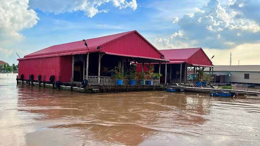 Mỗi bè cá là một ngôi nhà nổi trên sông. Ảnh: KHƯƠNG NHỰT MINH