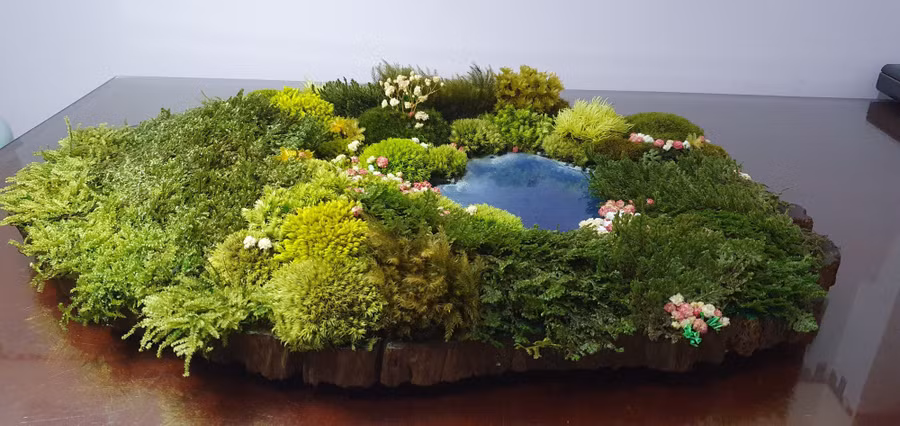 Bức tranh từ rêu của Hoàng tựa cánh rừng nguyên sinh. Ảnh: TẤN ĐẠT