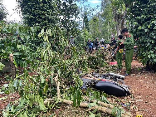 Cơ quan chức năng khám nghiệm hiện trường