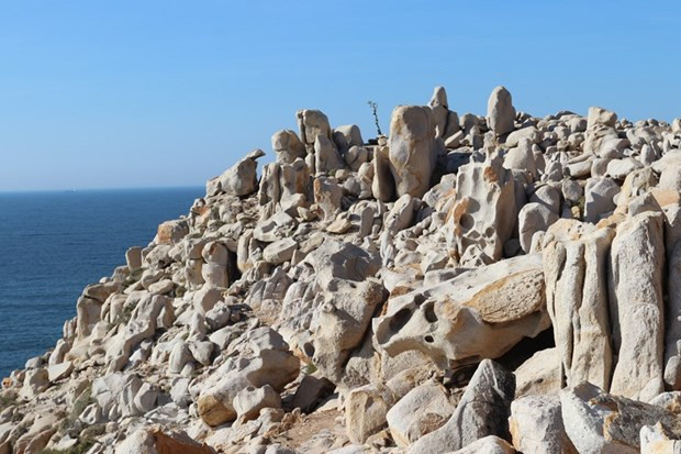 Một góc Công viên đá nằm trong Khu Dự trữ Sinh quyển Thế giới Núi Chúa. (Ảnh: Nguyễn Thành/TTXVN) Một góc Công viên đá nằm trong Khu Dự trữ Sinh quyển Thế giới Núi Chúa. (Ảnh: Nguyễn Thành/TTXVN)