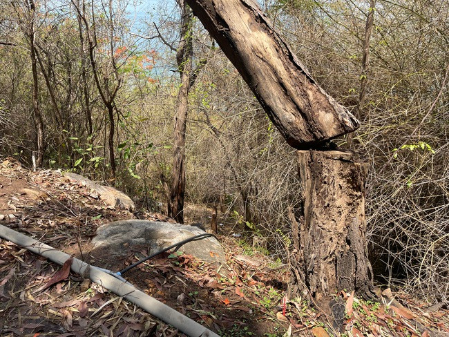 Vị trí phát hiện chiếc vali