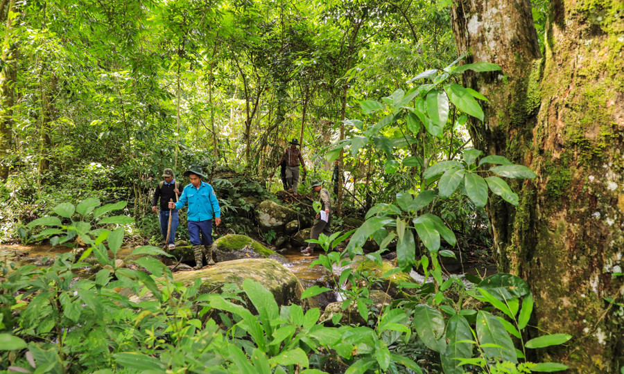 Lực lượng QLBVR tuần tra rừng ở Đam Rông Lực lượng QLBVR tuần tra rừng ở Đam Rông