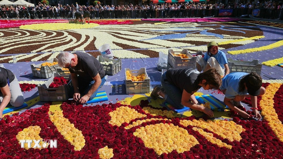 Các tình nguyện viên trang trí thảm hoa. (Ảnh: Duy Tùng/TTXVN)