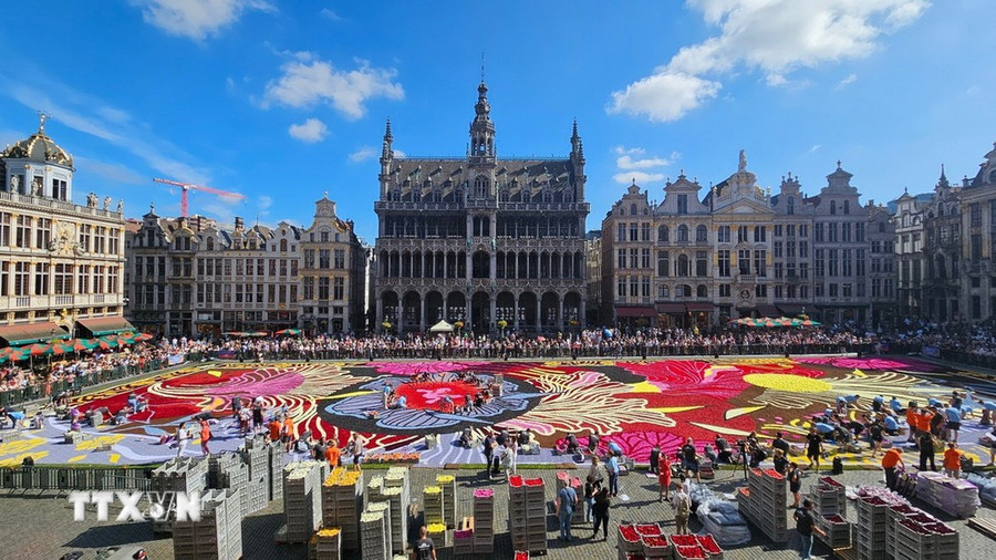 Các tình nguyện viên trang trí thảm hoa. (Ảnh: Duy Tùng/TTXVN)