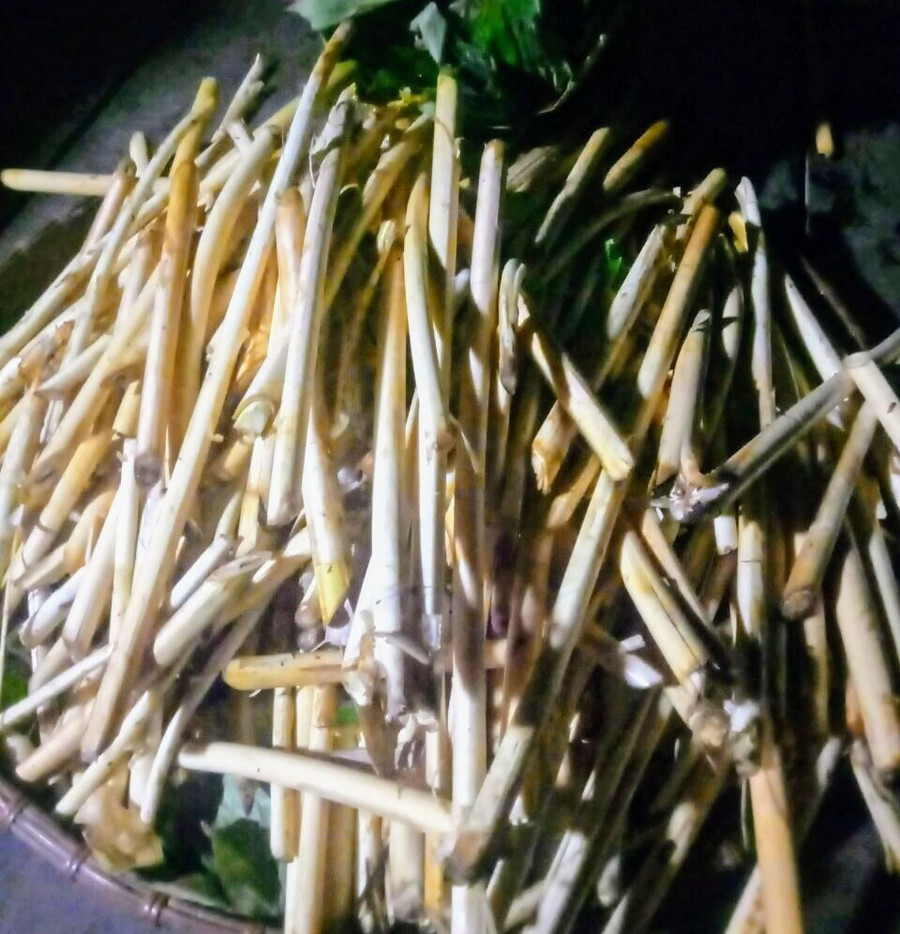 Đọt mây làm nên món ngon độc đáo. Ảnh: T.N Đọt mây làm nên món ngon độc đáo. Ảnh: T.N