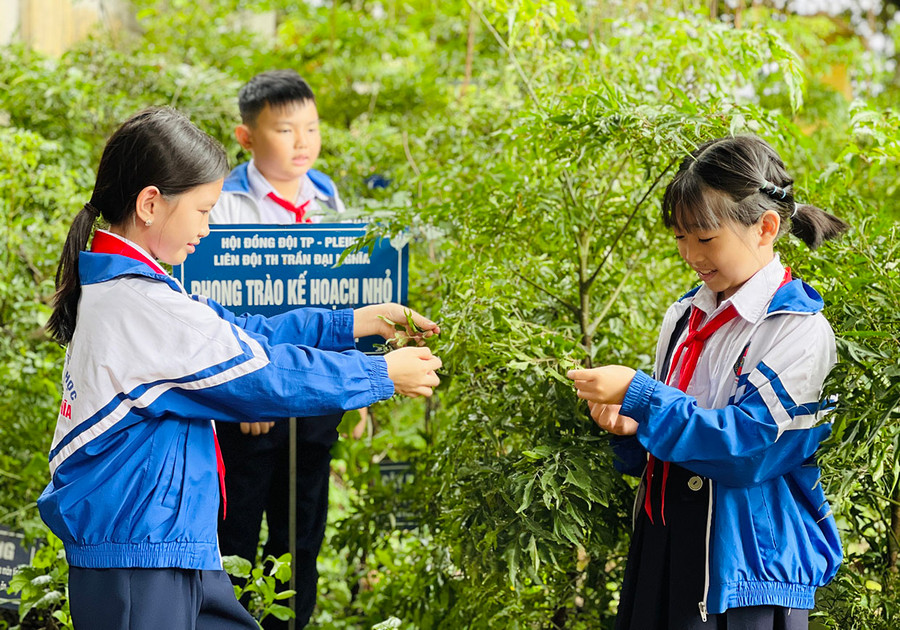 Những ngôi trường xanh luôn được các bậc phụ huynh tin tưởng để gửi gắm con, em mình. Ảnh: Mai Ka Những ngôi trường xanh luôn được các bậc phụ huynh tin tưởng để gửi gắm con, em mình. Ảnh: Mai Ka