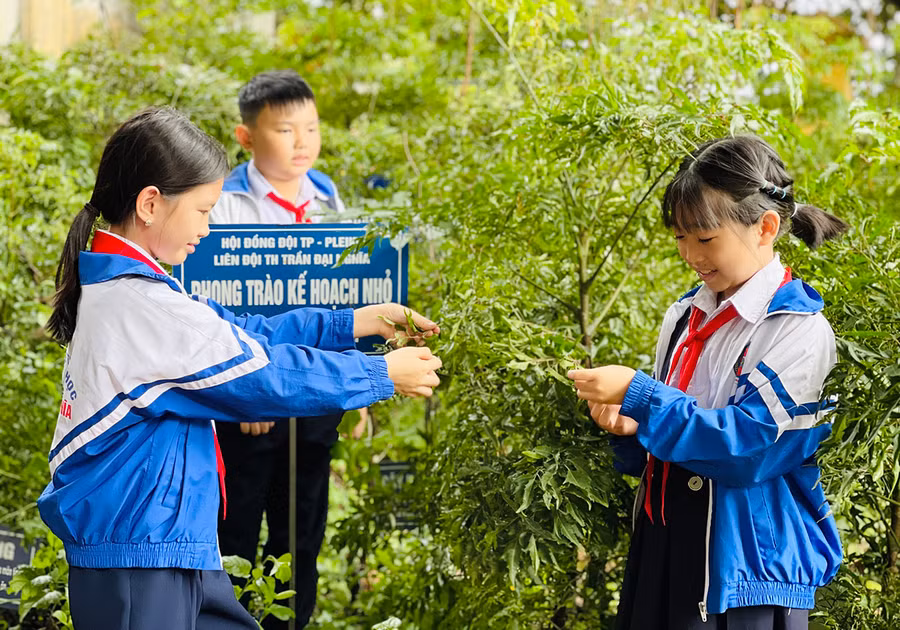 Những ngôi trường xanh luôn được các bậc phụ huynh tin tưởng để gửi gắm con, em mình. Ảnh: Mai Ka