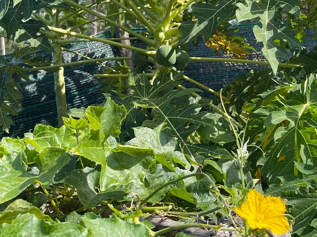 Ảnh: Nữ Vương Ảnh: Nữ Vương