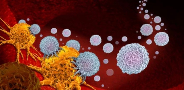 Giảm viêm là một cách để giữ sức khỏe và giảm nguy cơ ung thư. Ảnh: Shutterstock