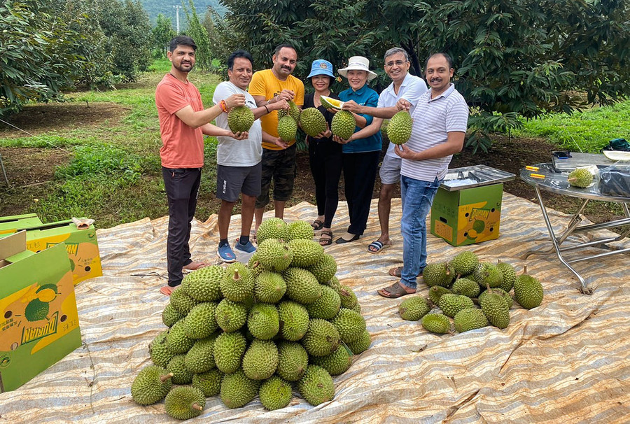 Du khách Ấn Độ thưởng thức sầu riêng tại farmstay Sâm Phát Ialy. Ảnh: H.N Du khách Ấn Độ thưởng thức sầu riêng tại farmstay Sâm Phát Ialy. Ảnh: H.N