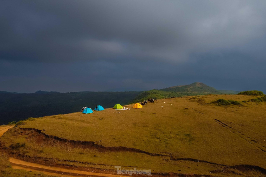 Cứ mỗi mùa thảo nguyên Bùi Hui lại mang một vẻ đẹp riêng. Vào mùa hè, khoảng từ tháng 6-8, nơi đây lại phủ sắc tím mộng mơ bởi những đồi sim đang vào vụ trổ hoa đẹp nhất. Những đồi sim này được người dân bản địa chăm sóc với tổng diện tích lên đến 20 ha. Đây là nơi còn nhiều sim tự nhiên nhất ở Quảng Ngãi. Ảnh: GREENCAMP.