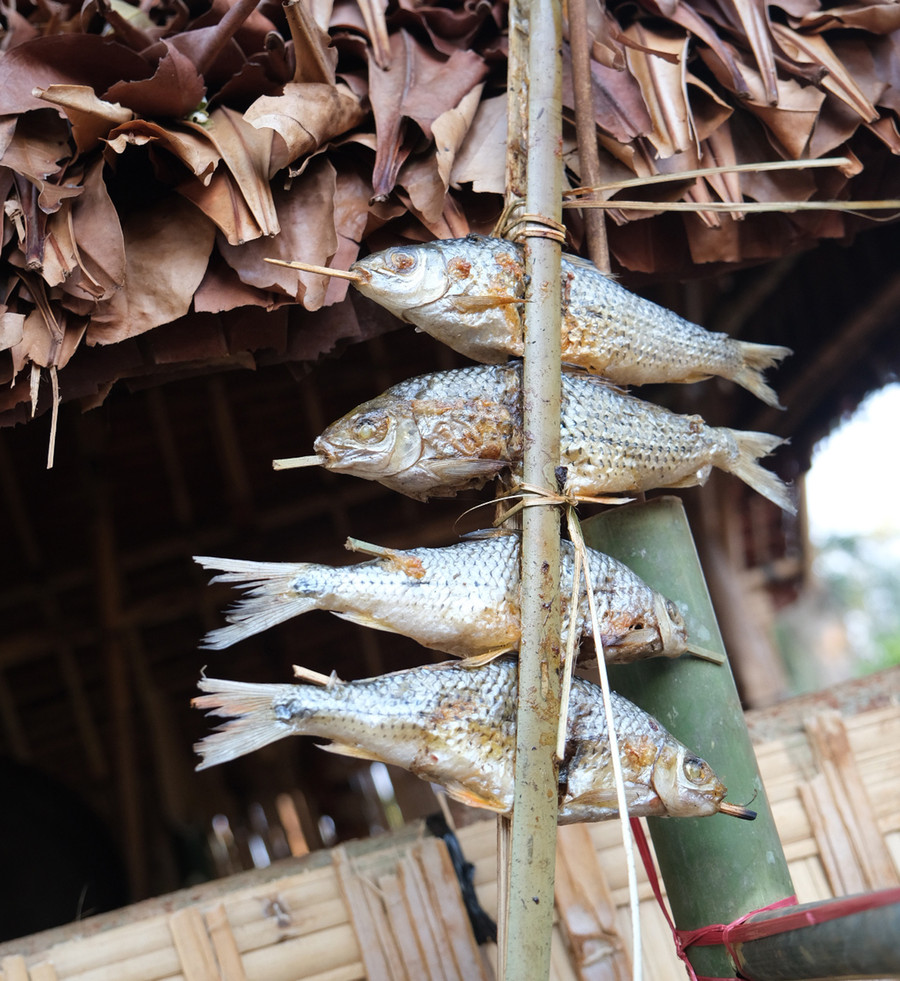Một loại cá sông Sê San nướng khá phổ biến trong bữa ăn của người Jrai ở các xã biên giới huyện Ia Grai. Ảnh: M.C Một loại cá sông Sê San nướng khá phổ biến trong bữa ăn của người Jrai ở các xã biên giới huyện Ia Grai. Ảnh: M.C