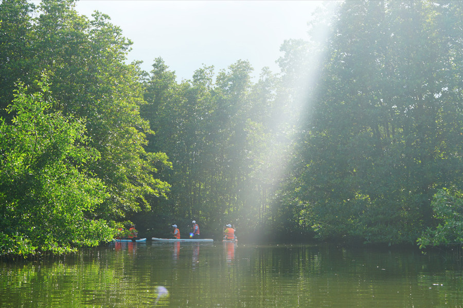 Nằm cách TP Quy Nhơn khoảng 15km, Cồn Chim như một ốc đảo lọt thỏm giữa đầm Thị Nại thuộc địa phận các xã Phước Sơn, Phước Hòa, Phước Thuận ở huyện Tuy Phước, tỉnh Bình Định.