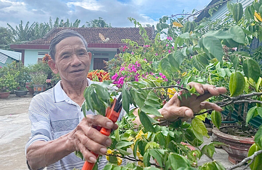Ông Nguyễn Đức Trung đang cắt, tỉa tạo tàn cho những cây cảnh trước sân nhà. Ảnh: Lê Nam Ông Nguyễn Đức Trung đang cắt, tỉa tạo tàn cho những cây cảnh trước sân nhà. Ảnh: Lê Nam