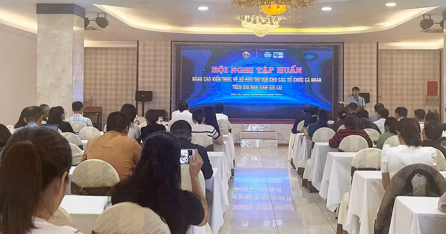 Quang cảnh lớp tập huấn. Ảnh: Lê Đại