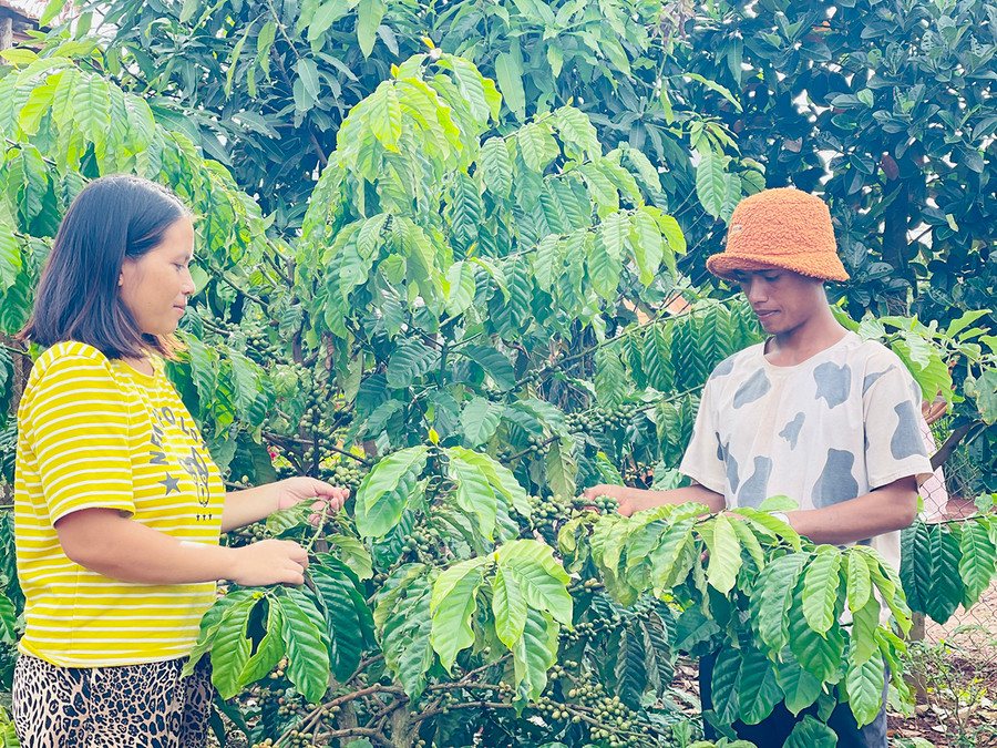 Gia đình anh Một (làng Dur, xã Glar, huyện Đak Đoa) nỗ lực lao động sản xuất để vươn lên thoát nghèo. Ảnh: M.K