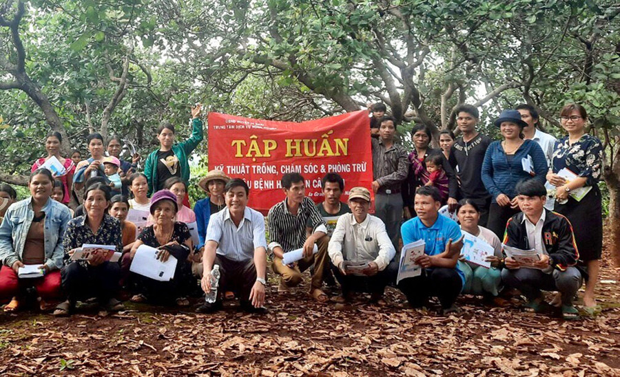 Hội Nông dân xã Ia Grăng phối hợp với Trung tâm Dịch vụ nông nghiệp huyện tập huấn kỹ thuật cho hội viên nông dân. Ảnh: Lê Nam Hội Nông dân xã Ia Grăng phối hợp với Trung tâm Dịch vụ nông nghiệp huyện tập huấn kỹ thuật cho hội viên nông dân. Ảnh: Lê Nam