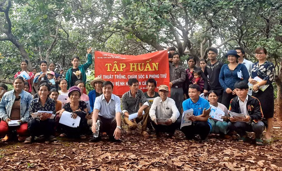 Hội Nông dân xã Ia Grăng phối hợp với Trung tâm Dịch vụ nông nghiệp huyện tập huấn kỹ thuật cho hội viên nông dân. Ảnh: Lê Nam