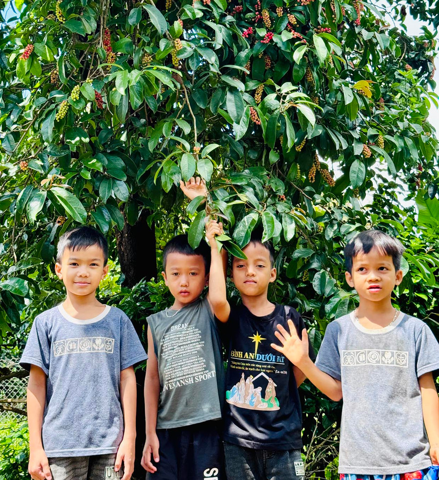 Các em nhỏ ở làng Sơ (xã Biển Hồ, TP. Pleiku) dưới tán chòi mòi. Ảnh: N.T.D Các em nhỏ ở làng Sơ (xã Biển Hồ, TP. Pleiku) dưới tán chòi mòi. Ảnh: N.T.D