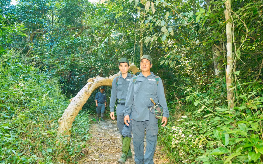 Nhân viên quản lý, bảo vệ rừng VQG Cát Tiên triển khai công tác tuần tra, kiểm tra bảo vệ rừng nghiêm ngặt 24/24 giờ hàng ngày