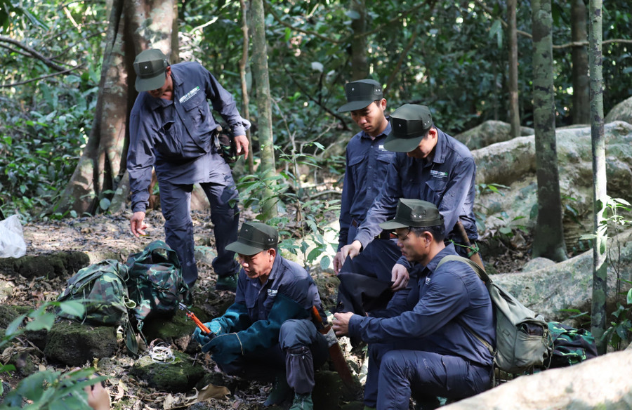 Đội gỡ bẫy VQG Cát Tiên thường xuyên tuần tra gỡ bẫy mà người dân đặt để bảo vệ các loại thú rừng
