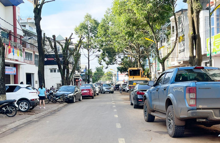 Dù có biển cấm đỗ xe ngày chẵn, ngày lẻ nhưng nhiều ô tô vẫn đậu ở hai bên đường Nguyễn Thái Học (đoạn từ đường Nguyễn Văn Trỗi đến đường Hùng Vương, ảnh chụp sáng 25-8). Ảnh: M.N Dù có biển cấm đỗ xe ngày chẵn, ngày lẻ nhưng nhiều ô tô vẫn đậu ở hai bên đường Nguyễn Thái Học (đoạn từ đường Nguyễn Văn Trỗi đến đường Hùng Vương, ảnh chụp sáng 25-8). Ảnh: M.N