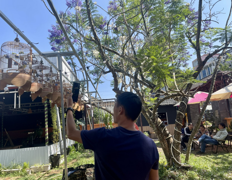 Trong tiếng chim ca