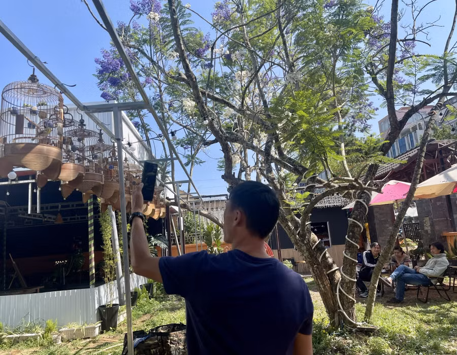 Trong tiếng chim ca