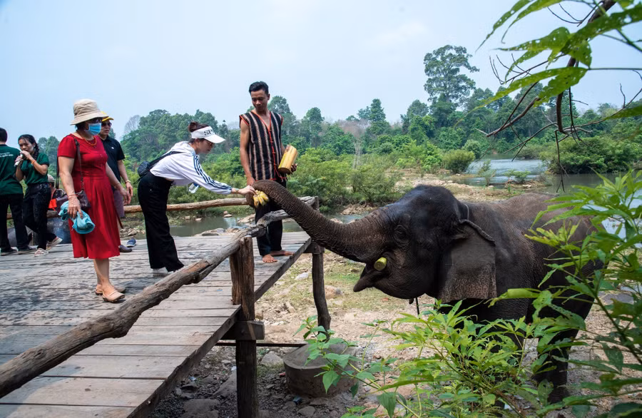 Du khách trải nghiệm mô hình du lịch thân thiện với voi tại Khu du lịch Bản Đôn. Ảnh: Hữu Hùng