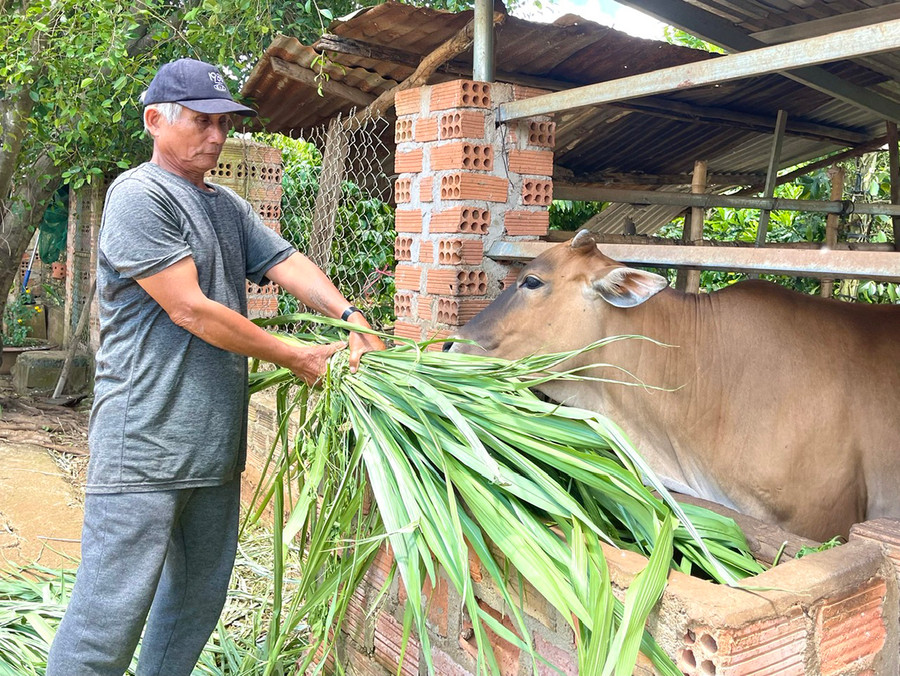 Những ngày tháng học tập, cải tạo đã giúp ông Ja Na (xã Hà Bầu, huyện Đak Đoa) nhận ra lỗi lầm và quyết tâm làm lại cuộc đời. Ảnh: M.N Những ngày tháng học tập, cải tạo đã giúp ông Ja Na (xã Hà Bầu, huyện Đak Đoa) nhận ra lỗi lầm và quyết tâm làm lại cuộc đời. Ảnh: M.N
