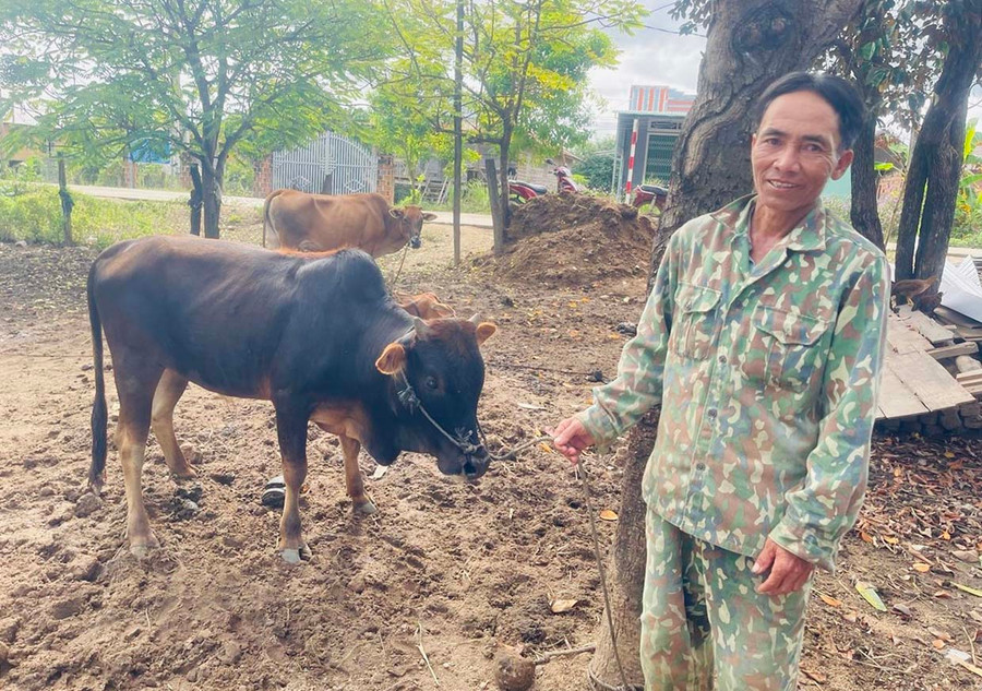 Ông Ksor Bhot (buôn Rưng Ma Nhiu) mạnh dạn vay vốn ngân hàng để chăn nuôi bò, phát triển kinh tế gia đình. Ảnh: Vũ Chi Ông Ksor Bhot (buôn Rưng Ma Nhiu) mạnh dạn vay vốn ngân hàng để chăn nuôi bò, phát triển kinh tế gia đình. Ảnh: Vũ Chi