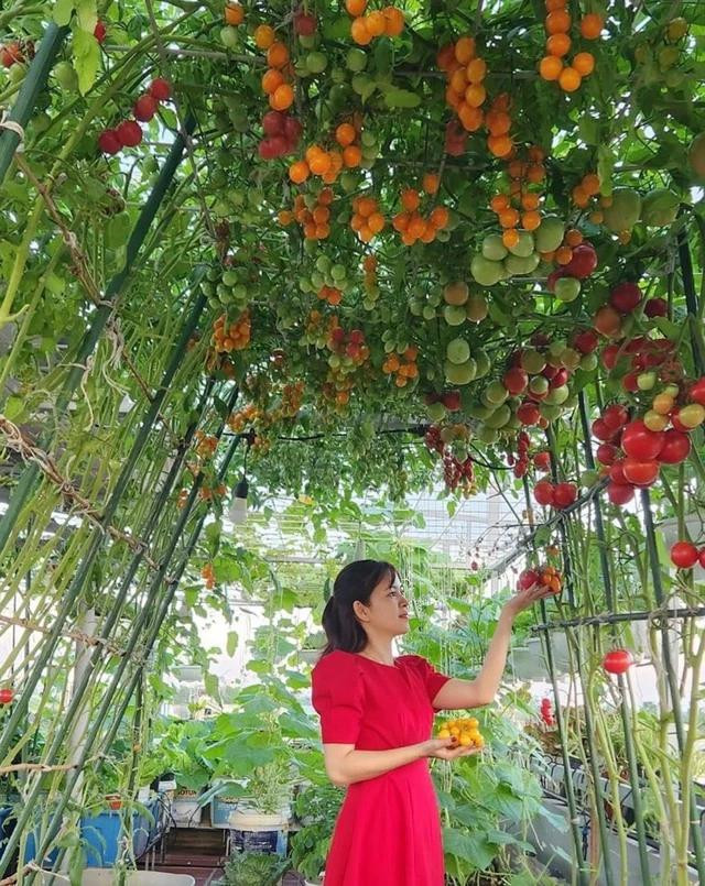 Với chị Luy, trồng cây đã trở thành đam mê. Ảnh NVCC