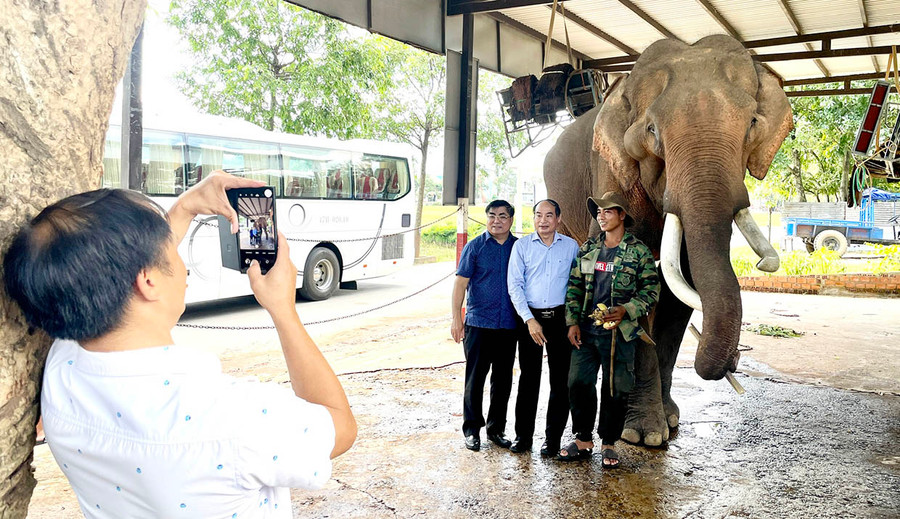 Một nhóm khách MICE hào hứng chụp ảnh cùng chú voi ở huyện Lắk, tỉnh Đak Lak. Ảnh: L.N Một nhóm khách MICE hào hứng chụp ảnh cùng chú voi ở huyện Lắk, tỉnh Đak Lak. Ảnh: L.N