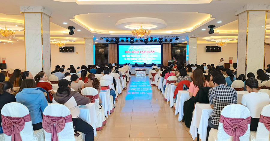 Sở Lao động-Thương binh và Xã hội tập huấn về thu thập, cập nhật, tổng hợp thông tin người lao động và thị trường lao động trên địa bàn tỉnh. Ảnh ĐVCC Sở Lao động-Thương binh và Xã hội tập huấn về thu thập, cập nhật, tổng hợp thông tin người lao động và thị trường lao động trên địa bàn tỉnh. Ảnh ĐVCC