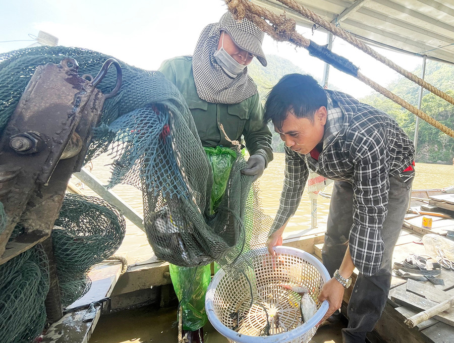 Vợ chồng ngư phủ Nguyễn Văn Đức miệt mài với những tấm lưới trải dọc sông Ba ở vùng Thung lũng Hồng. Ảnh: L.G