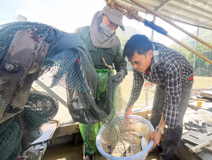 Vợ chồng ngư phủ Nguyễn Văn Đức miệt mài với những tấm lưới trải dọc sông Ba ở vùng Thung lũng Hồng. Ảnh: L.G