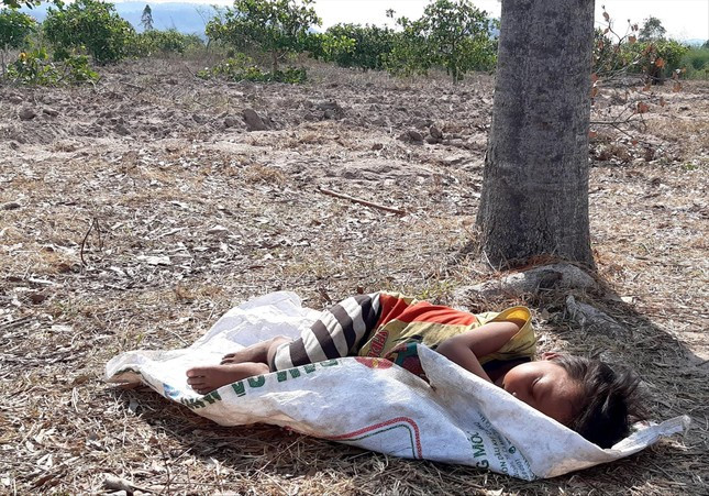 Các em nhỏ theo cha mẹ lên rẫy