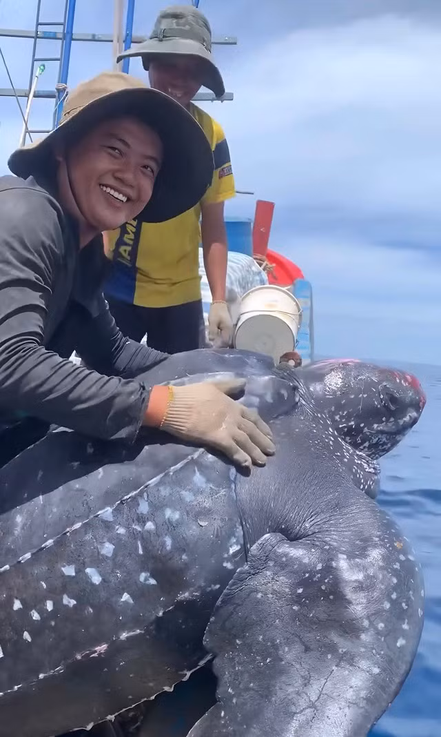 Anh Võ Công Hậu rất vui khi cùng các ngư dân trên tàu thả rùa da về lại biển. Ảnh: VÕ RÔN