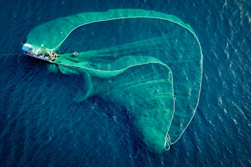 Bức ảnh chụp cảnh 'lưới vây trên biển Phú Yên có hình dạng như cá heo' của Thái Viết Hoàn thắng giải nhất hạng mục nhiếp ảnh của cuộc thi ảnh quy mô toàn cầu ProArtist Awards 2023. Ảnh nguồn TNO