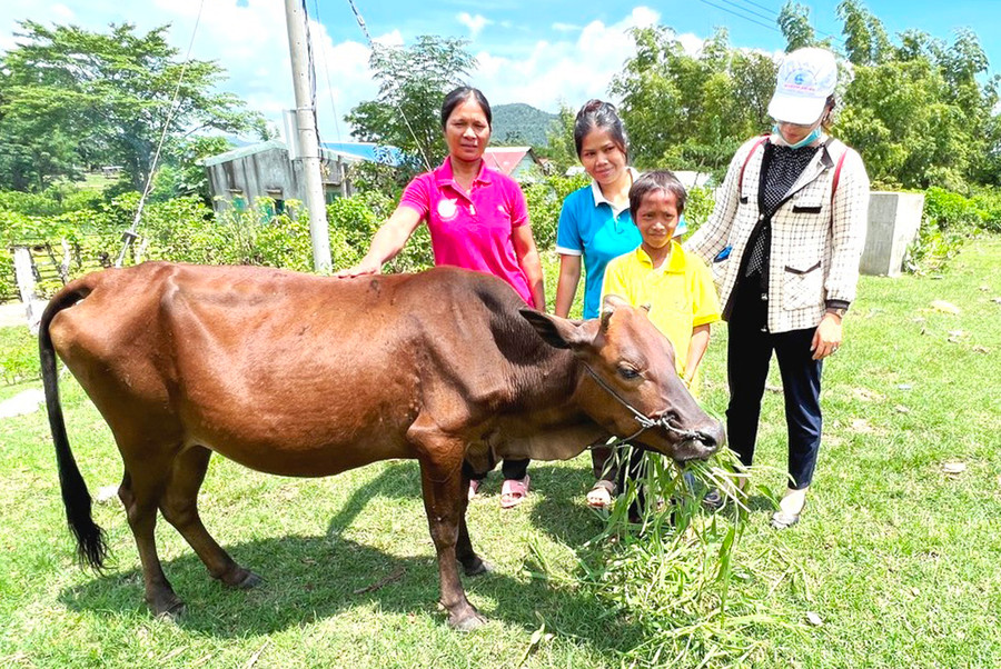 Mô hình nuôi bò sinh sản của Hội Liên hiệp phụ nữ xã Ayun đã giúp nhiều hội viên phát triển kinh tế, vươn lên thoát nghèo. Ảnh: Đ.Y Mô hình nuôi bò sinh sản của Hội Liên hiệp phụ nữ xã Ayun đã giúp nhiều hội viên phát triển kinh tế, vươn lên thoát nghèo. Ảnh: Đ.Y