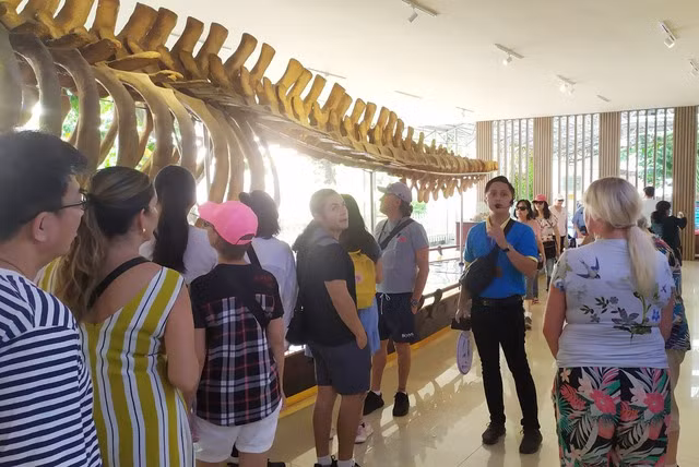 Tàu du lịch cao cấp Spectrum Of The Sea chở theo 4.000 du khách đến Nha Trang - Ảnh 3. Du khách tham quan Viện Hải dương học Nha Trang. Ảnh: SDL
