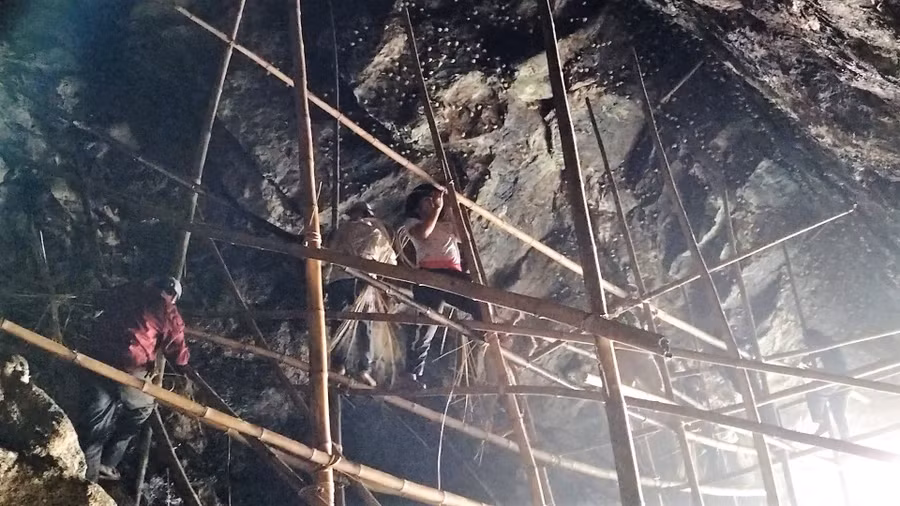 Chênh vênh trên đá. Ảnh: T.V