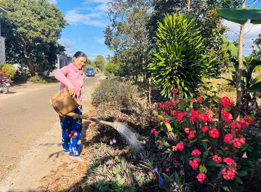 Bà Nguyễn Thị Dung (tổ 5) tự trồng và chăm sóc hoa trước nhà để tạo cảnh quan sạch đẹp. Ảnh: N.H