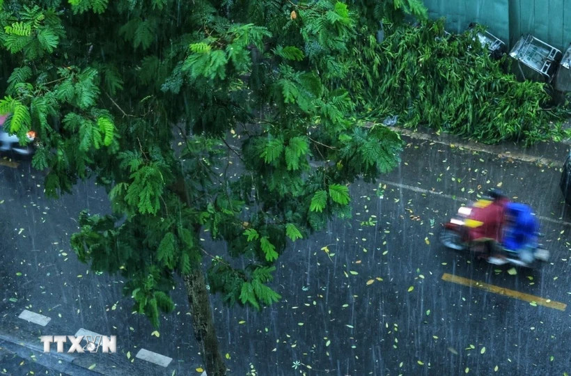 Ảnh minh họa. (Ảnh: Tuấn Anh/TTXVN) Ảnh minh họa. (Ảnh: Tuấn Anh/TTXVN)