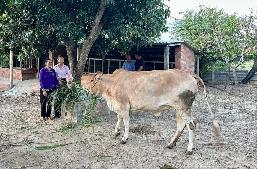 Tận dụng các nguồn vốn hỗ trợ, hội viên Cựu chiến binh xã Thành An phát triển kinh tế nông nghiệp tăng thu nhập, ổn định đời sống. Ảnh: Sơn Ca Tận dụng các nguồn vốn hỗ trợ, hội viên Cựu chiến binh xã Thành An phát triển kinh tế nông nghiệp tăng thu nhập, ổn định đời sống. Ảnh: Sơn Ca