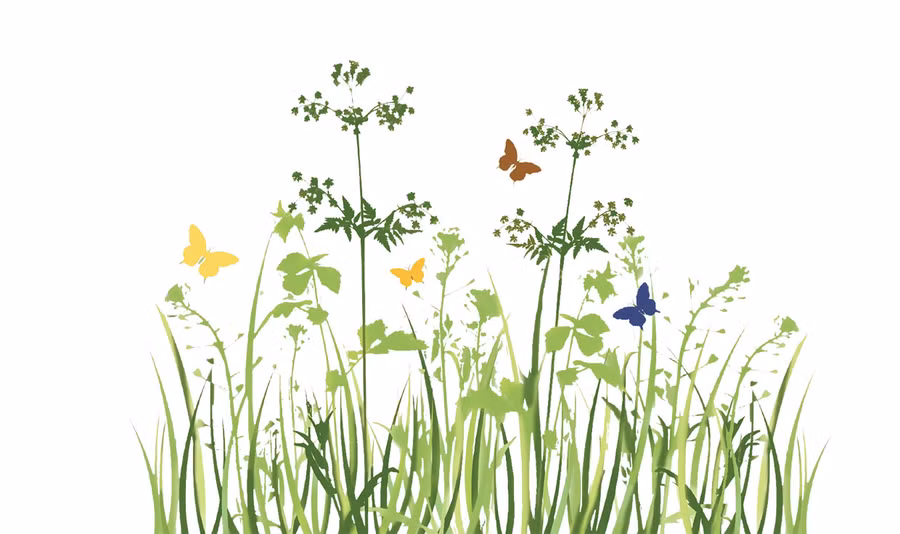 Minh họa: Huyền Trang