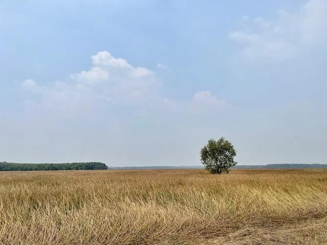 Hệ thống quan trắc cho phép đưa ra các cảnh báo cháy ở khu đồng cỏ. Ảnh: Thụy Miên