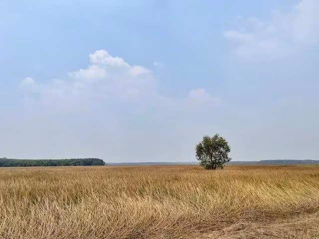 Hệ thống quan trắc cho phép đưa ra các cảnh báo cháy ở khu đồng cỏ. Ảnh: Thụy Miên