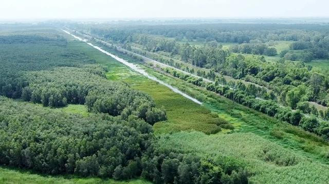 Quang cảnh VQG Tràm Chim